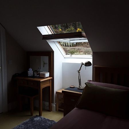 Forest View Woodland Lodge Ballard Eksteriør billede
