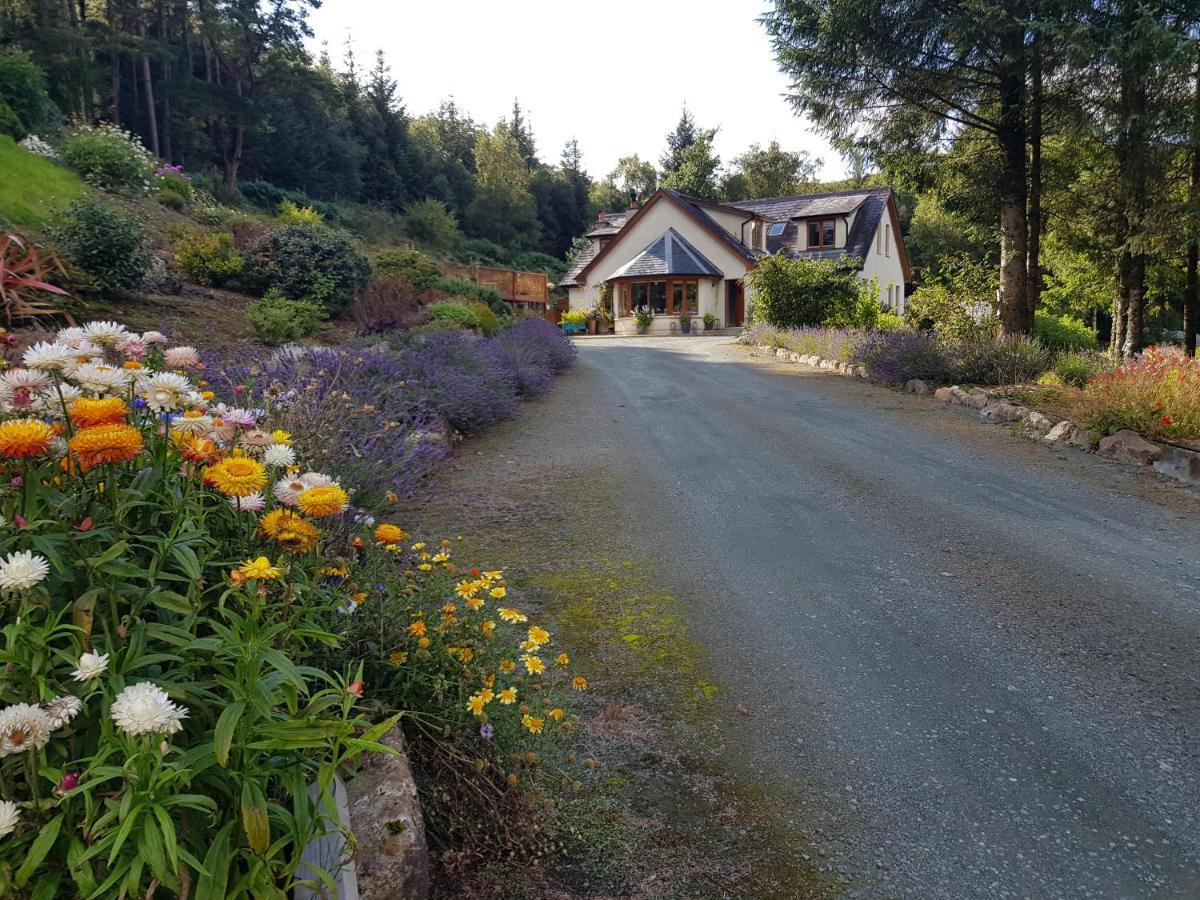 Forest View Woodland Lodge Ballard Eksteriør billede
